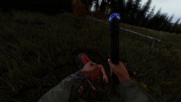 DayZ | Deluxe Edition (PC) - Steam Key - GLOBAL