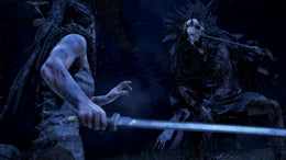 Hellblade: Senua's Sacrifice VR Edition Steam Key GLOBAL