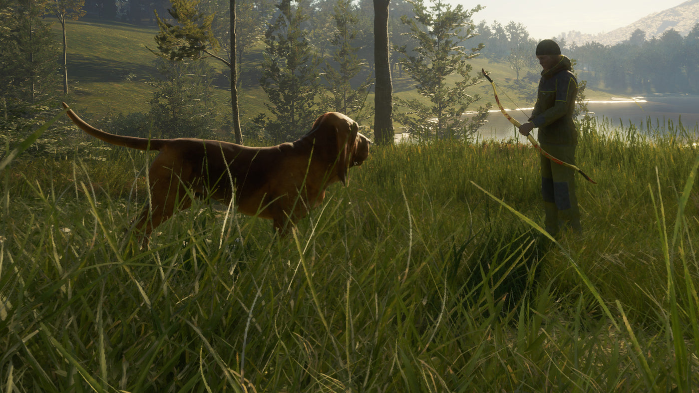 theHunter: Call of the Wild - Bloodhound (PC) - Steam Key - GLOBAL