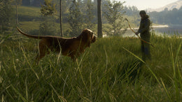 theHunter: Call of the Wild - Bloodhound (PC) - Steam Key - GLOBAL