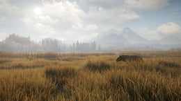 theHunter: Call of the Wild - Starter Bundle (PC) - Steam Key - GLOBAL