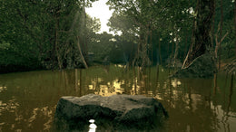 Ultimate Fishing Simulator - Amazon River (PC) - Steam Key - GLOBAL