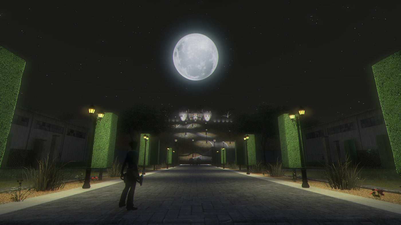 Secret World Legends: Dawn of the Morninglight Collector’s Edition (PC) - Steam Key - GLOBAL