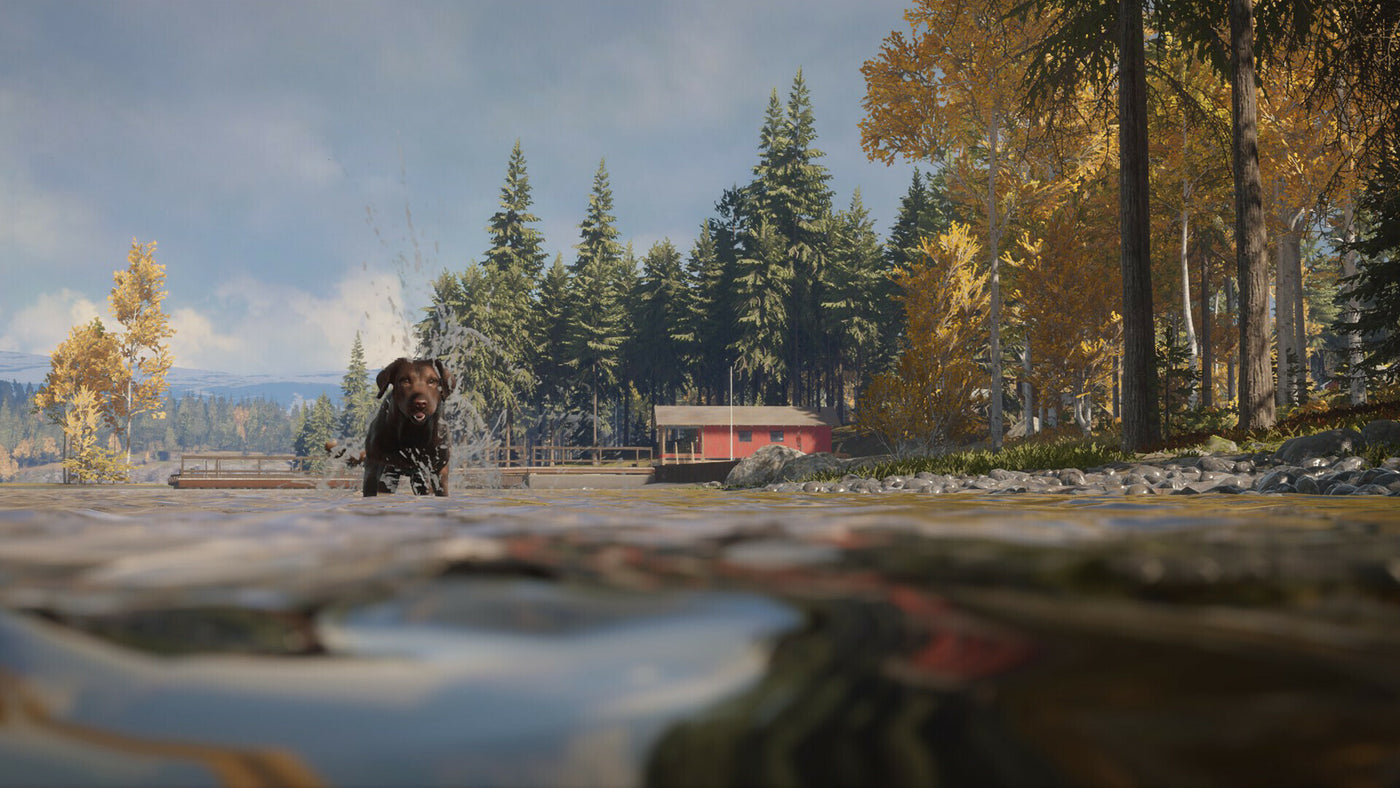 theHunter: Call of the Wild - Labrador Retriever (PC) - Steam Key - GLOBAL