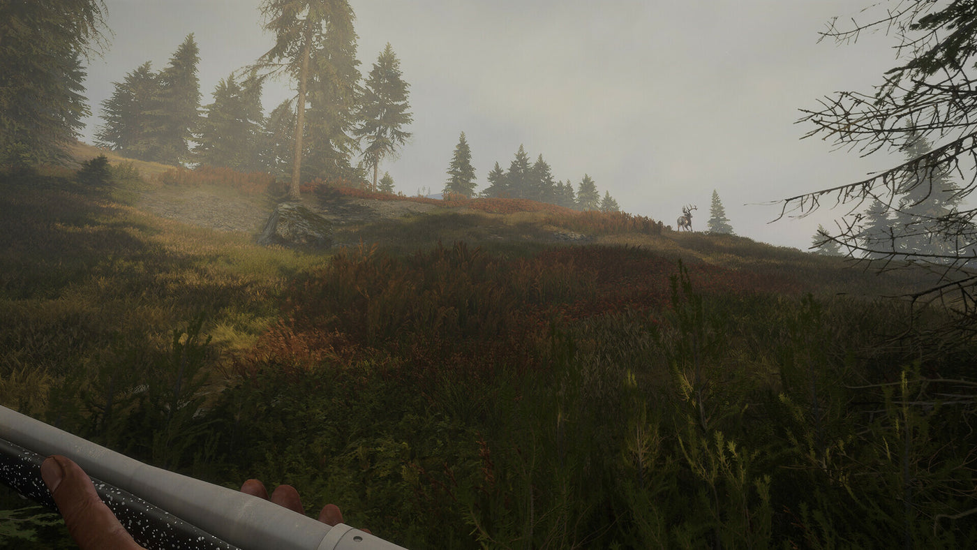 theHunter: Call of the Wild - Hunter Power Pack (PC) - Steam Key - GLOBAL
