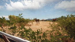 theHunter: Call of the Wild - Hunter Power Pack (PC) - Steam Key - GLOBAL