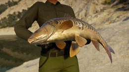 Call of the Wild: The Angler - Spain Reserve (PC) - Steam Key - GLOBAL