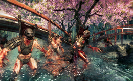 Shadow Warrior: Special Edition Steam Key GLOBAL