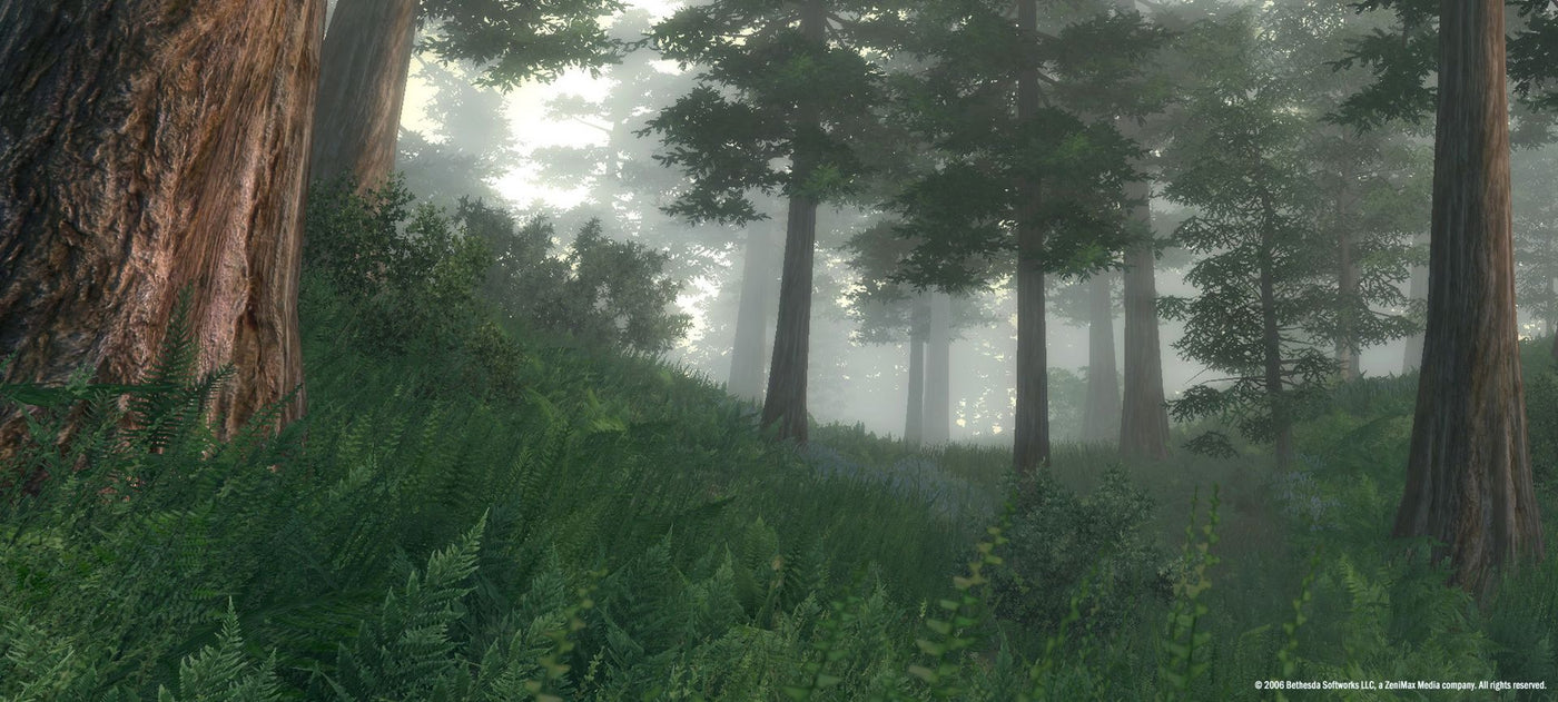 The Elder Scrolls IV: Oblivion Game of the Year Edition Steam Key GLOBAL