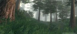 The Elder Scrolls IV: Oblivion Game of the Year Edition Steam Key GLOBAL