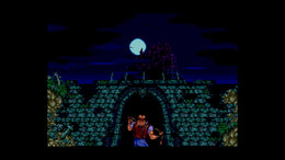 Castlevania Anniversary Collection (PC) - Steam Key - GLOBAL
