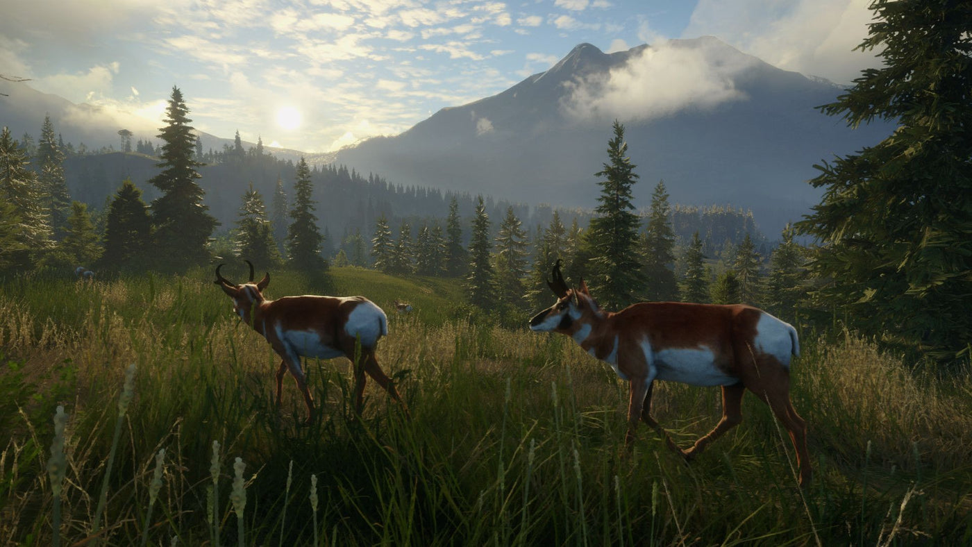 theHunter: Call of the Wild - Silver Ridge Peaks (PC) - Steam Key - GLOBAL