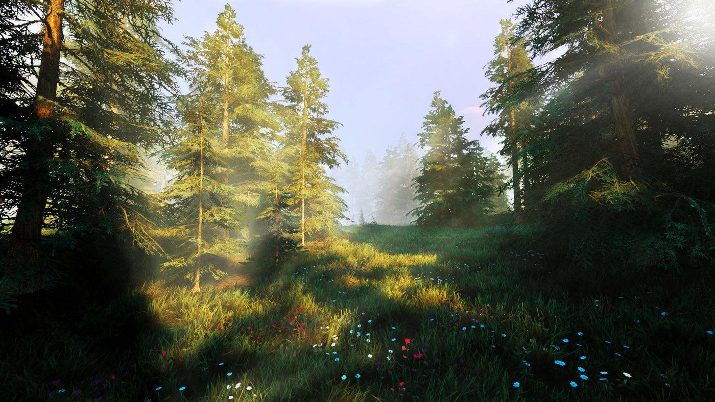 Hunting Simulator 2 (PC) - Steam Key - GLOBAL