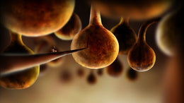 Botanicula Steam Key GLOBAL