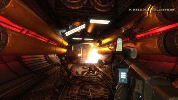 Natural Selection 2 Steam Key GLOBAL