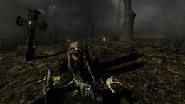 Painkiller: Hell & Damnation Collectors Edition Steam Key GLOBAL
