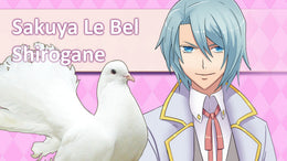 Hatoful Boyfriend Steam Key GLOBAL