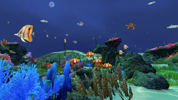 Fancy Fishing VR Steam Key GLOBAL