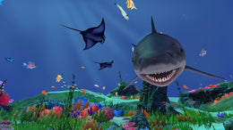 Fancy Fishing VR Steam Key GLOBAL