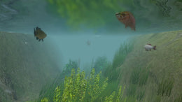 European Fishing Steam Key GLOBAL