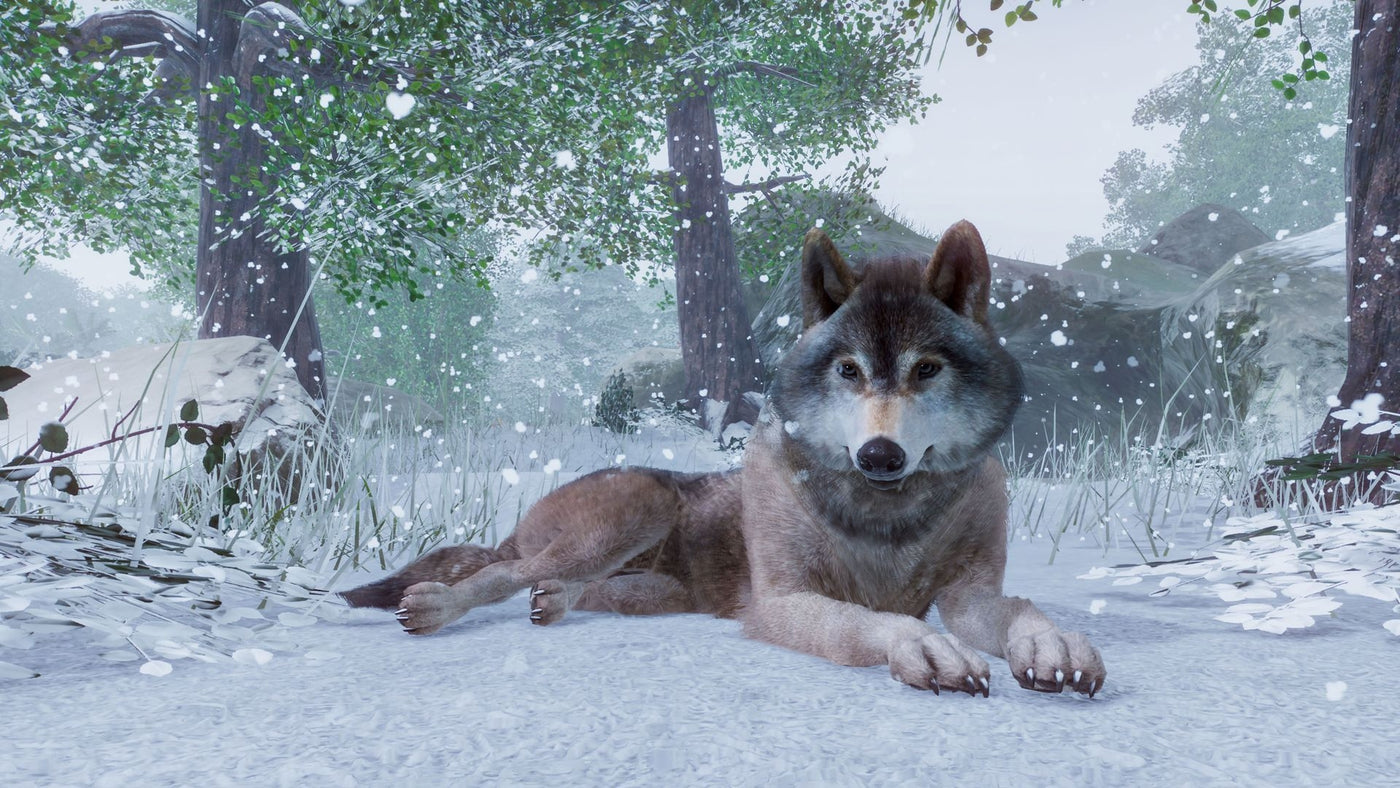 Planet Zoo Steam Key GLOBAL